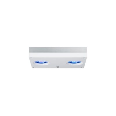 AI Hydra HD 32 LED weiss
