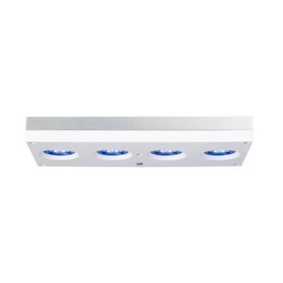 ai-hydra-hd-64-led-wei AI Hydra HD 64 LED weiß