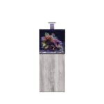 D-D Aqua-Pro Reef 600- Cube- DRIFTWOOD CONCRETE