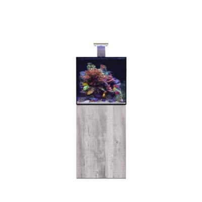D-D Aqua-Pro Reef 600- Cube- DRIFTWOOD CONCRETE