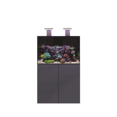 D-D Aqua-Pro Reef 900- ANTHRACITE GLOSS
