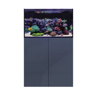D-D Aqua-Pro Reef 900- ANTHRACITE MATT