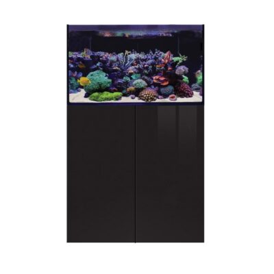 D-D Aqua-Pro Reef 900- BLACK GLOSS