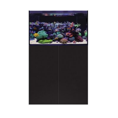 D-D Aqua-Pro Reef 900- BLACK SATIN