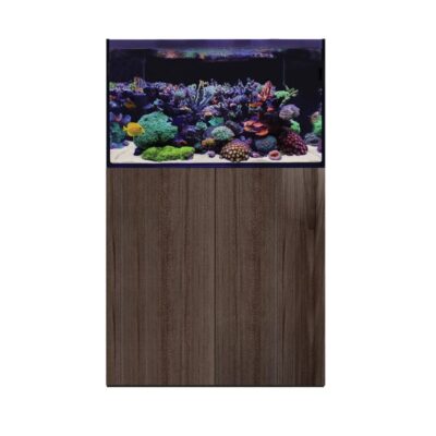 D-D Aqua-Pro Reef 900- JAPANESE PEAR GLOSS