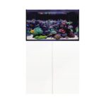 D-D Aqua-Pro Reef 900- WHITE GLOSS