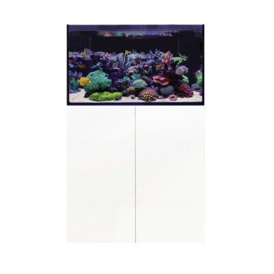 D-D Aqua-Pro Reef 900- WHITE GLOSS