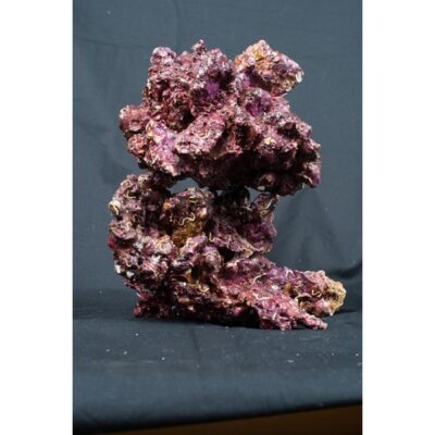 Real Reef Rock XLarge Show 25 kg Box