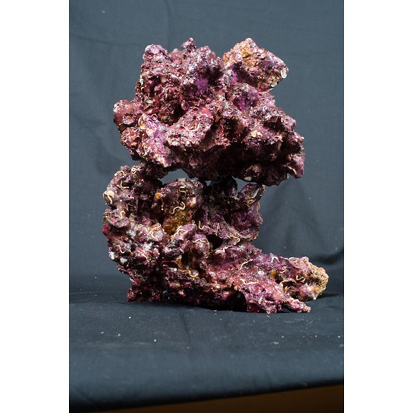 Real Reef Rock XLarge Show 25 kg Box